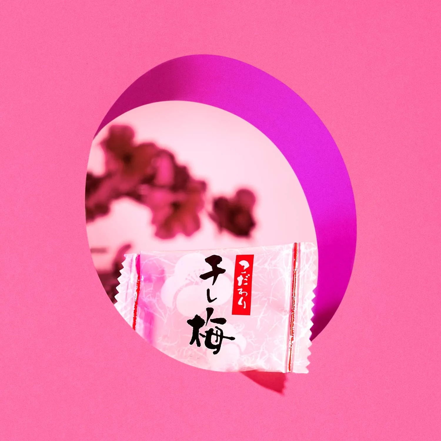 Dried Sweet Plum Bite (1 Piece)