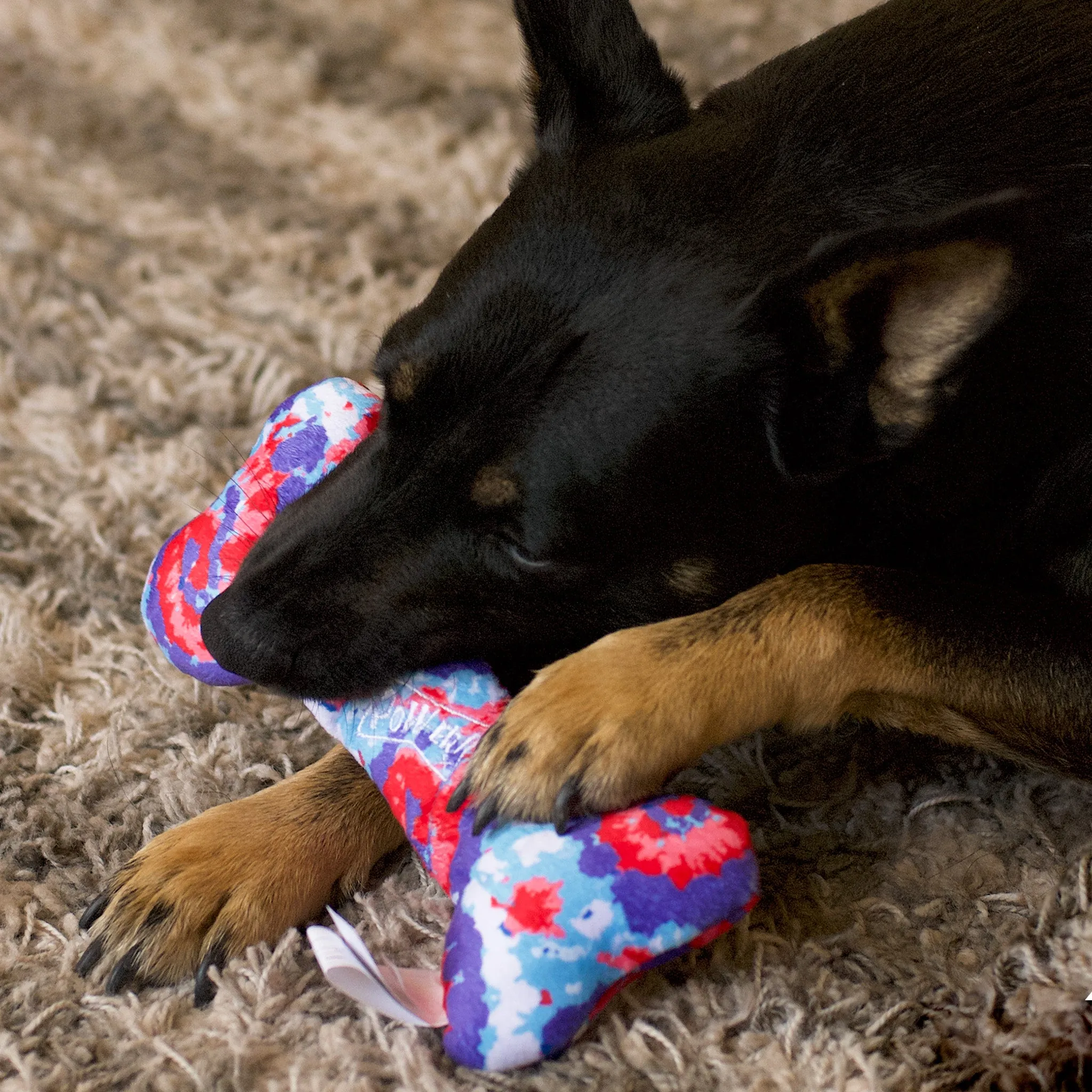 Medium USA PUP Bone Dog Toy