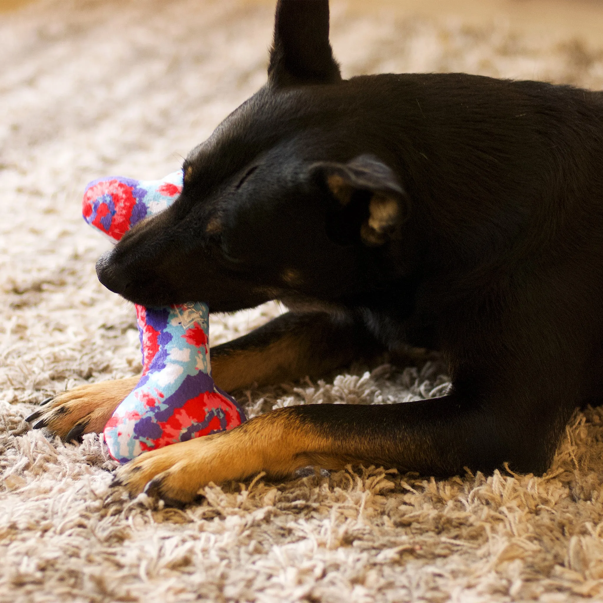 Medium USA PUP Bone Dog Toy