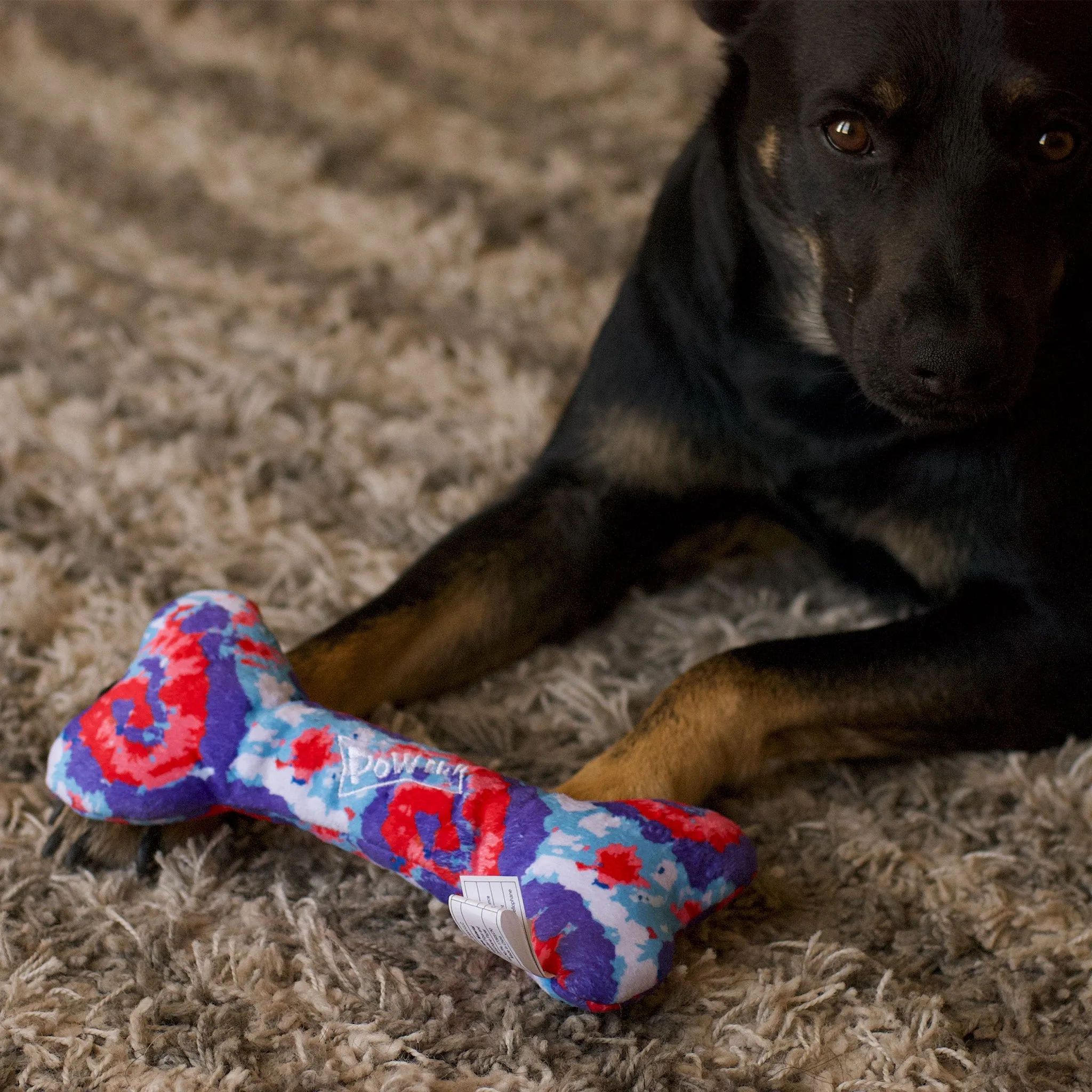 Medium USA PUP Bone Dog Toy