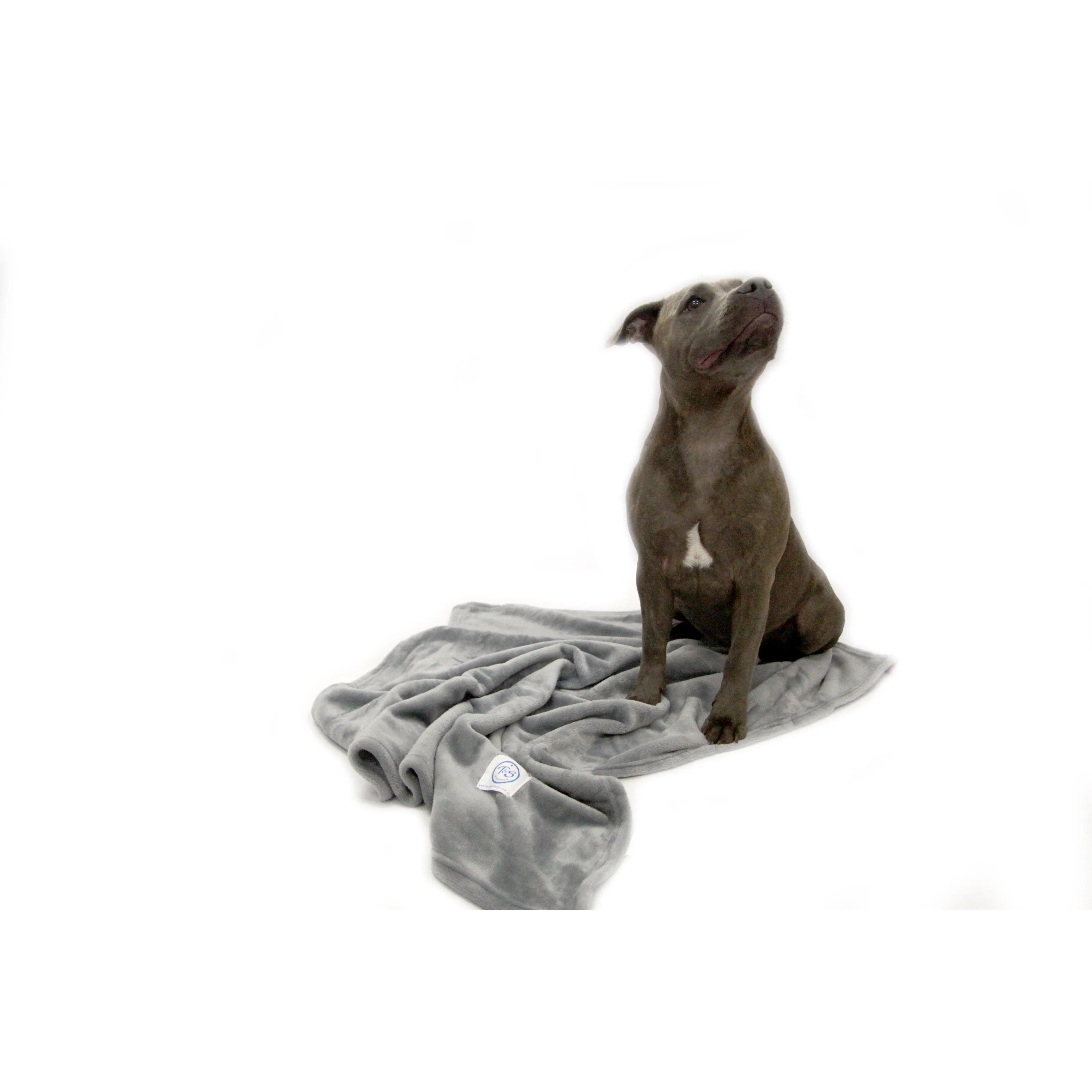 T&S Snuggle Grey Dog Blanket Small