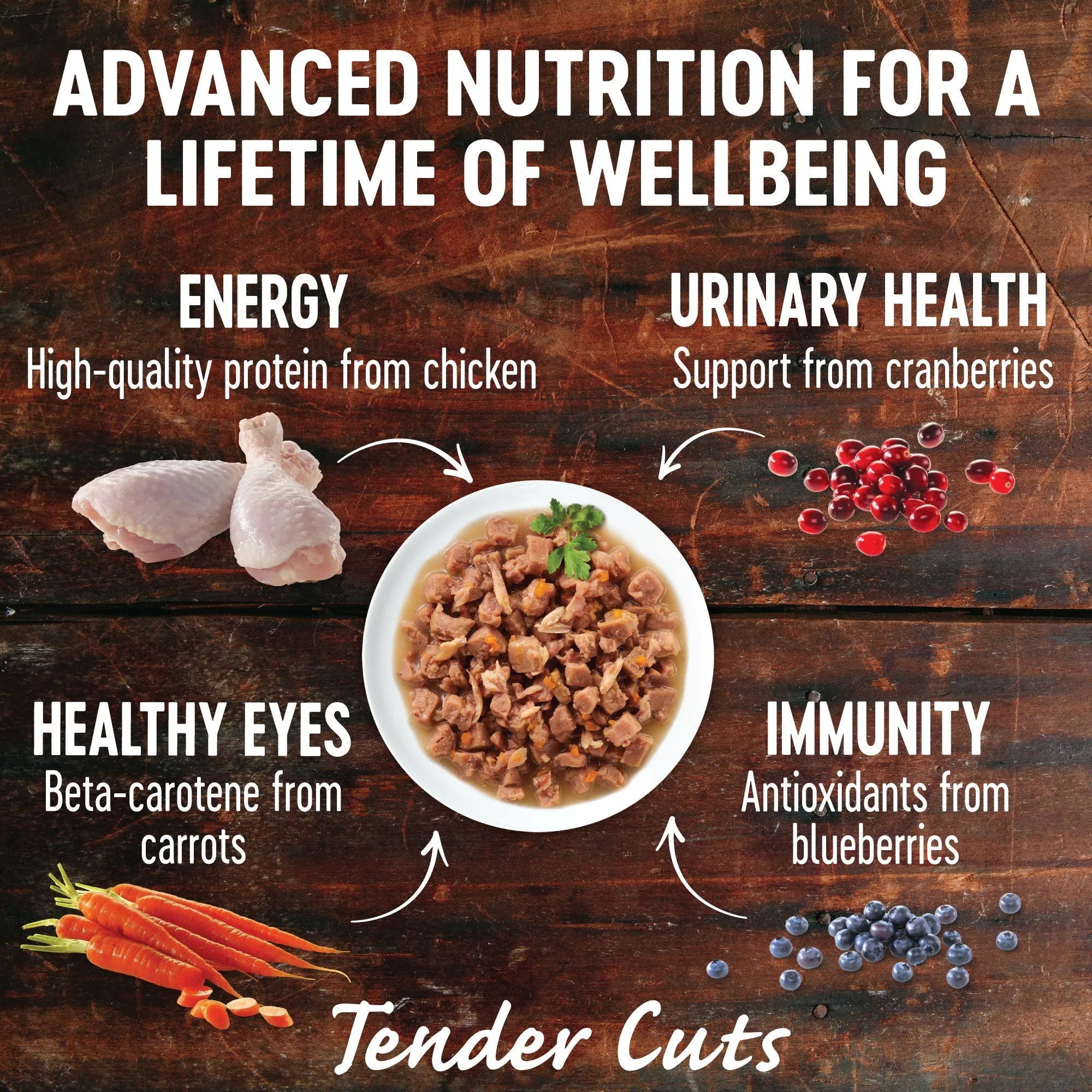 Wellness CORE Tender Cuts with Chicken and Salmon in Gravy Wet Cat Food 85g x 8